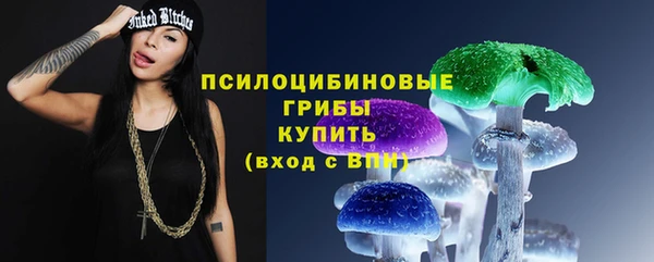 хмурый Алзамай