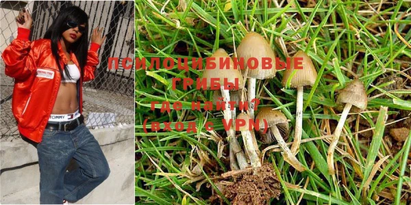 хмурый Алзамай