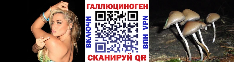 Псилоцибиновые грибы прущие грибы  Карачев 